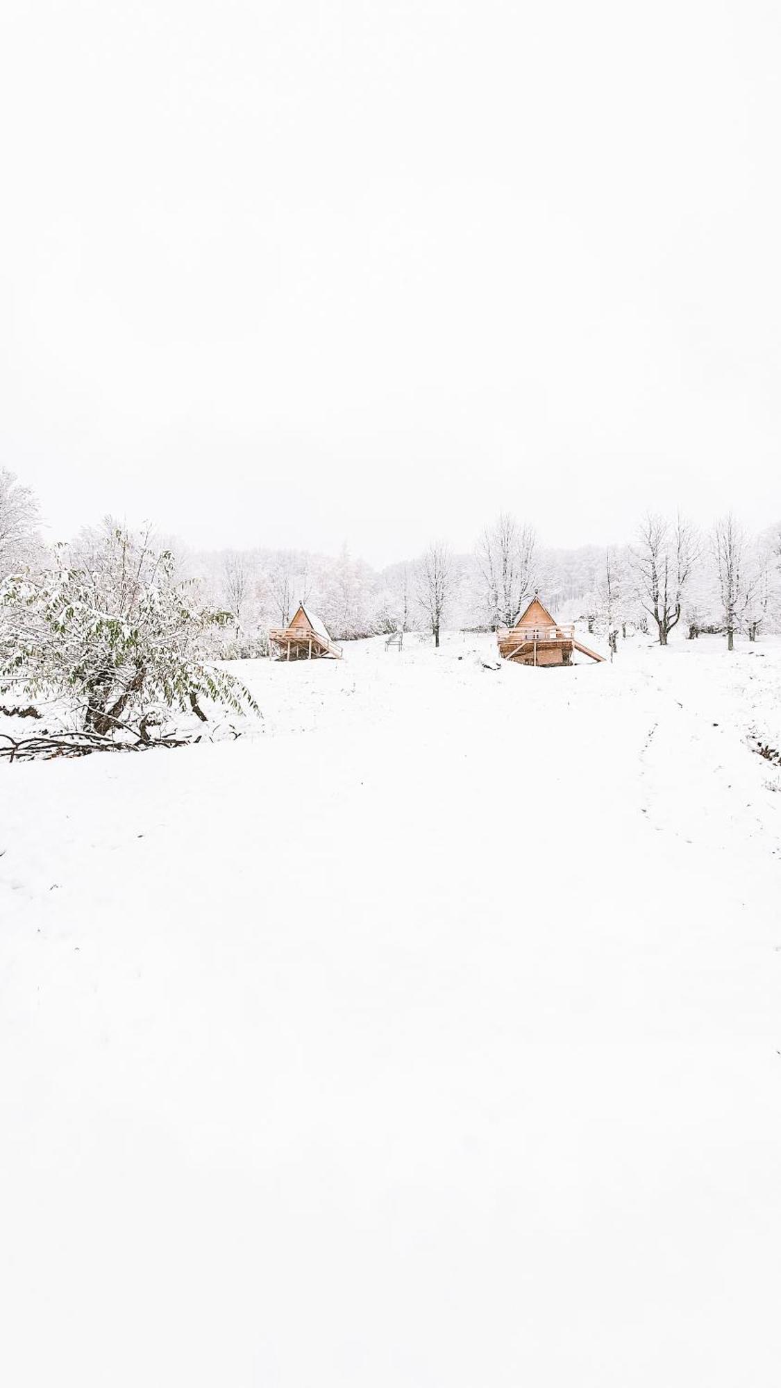 La Cabană Corbeni Habitación foto