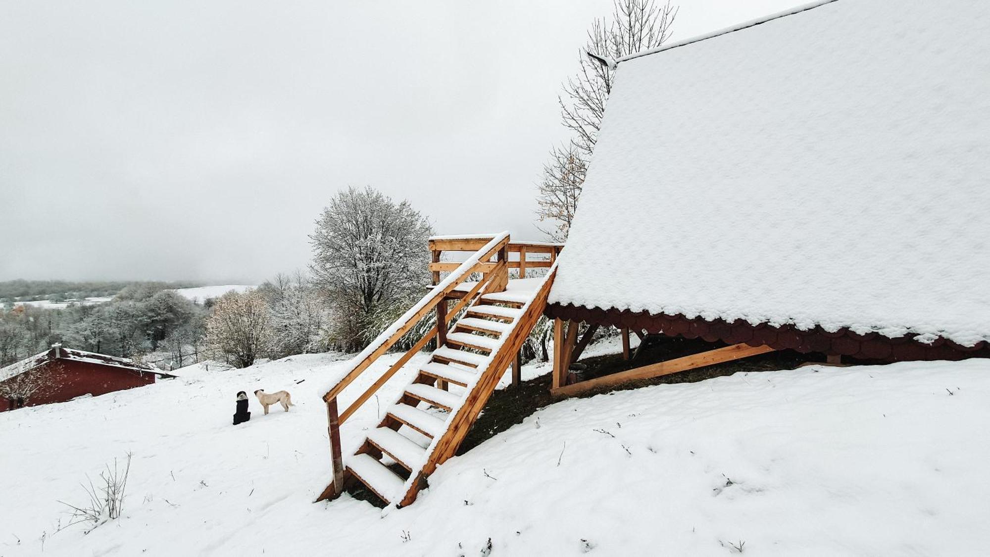 La Cabană Corbeni Habitación foto